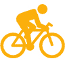 Bike Icon