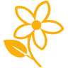 Flower Icon