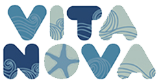 Vita Nova logo