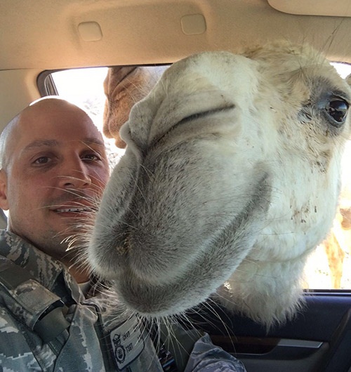 Chad sitting in a car. The window is open and a camel has inserted its head inside the vehicle