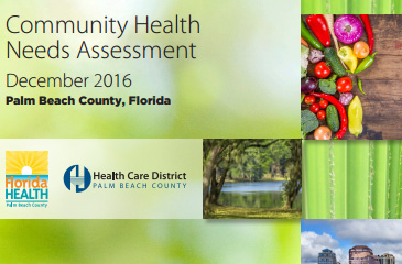 Community Health Needs Assessment 2016 green cover displays a close up image of blades of grass.