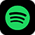 Spotify Icon