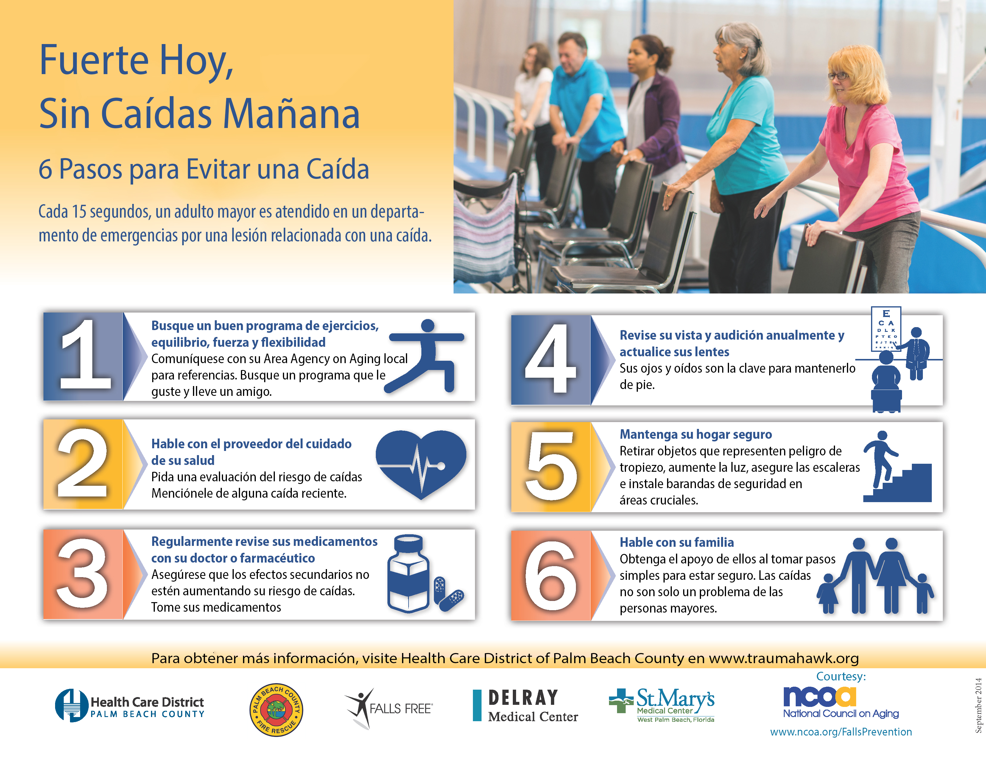 Six Steps to Prevent a Fall flyer in Spanish
