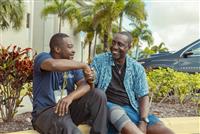 Peer Counselor with Patient