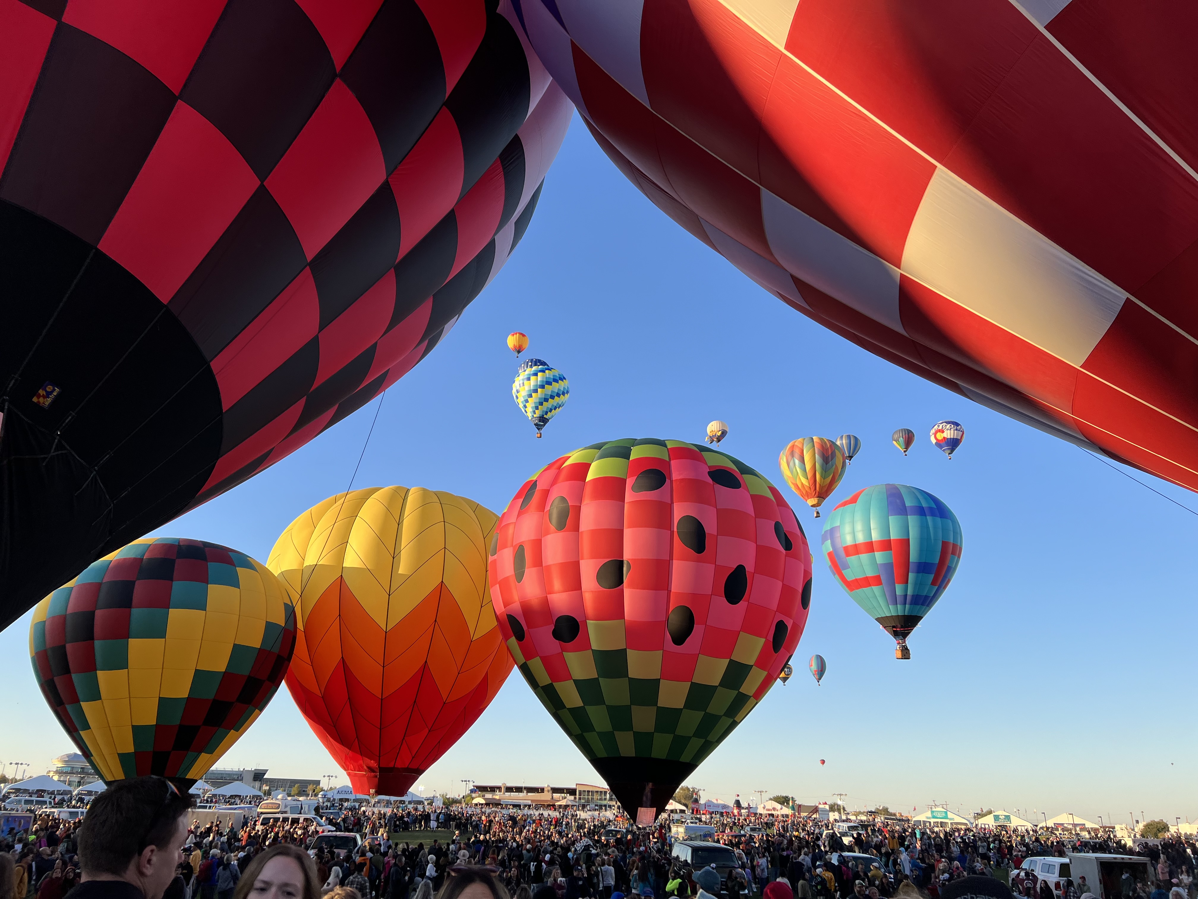 Balloons prepare to take off to join other balloons in the sky